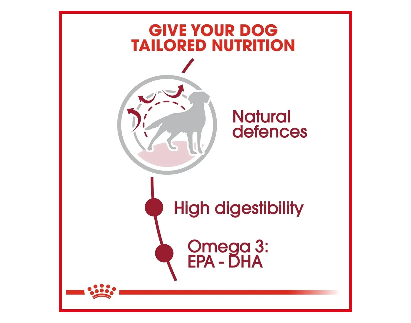 Royal Canin Medium Adult 3kg - Buy Online SPR Centre UK
