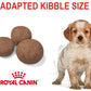 Royal Canin - Medium Puppy 4kg - Buy Online SPR Centre UK