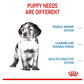 Royal Canin - Medium Puppy 4kg - Buy Online SPR Centre UK
