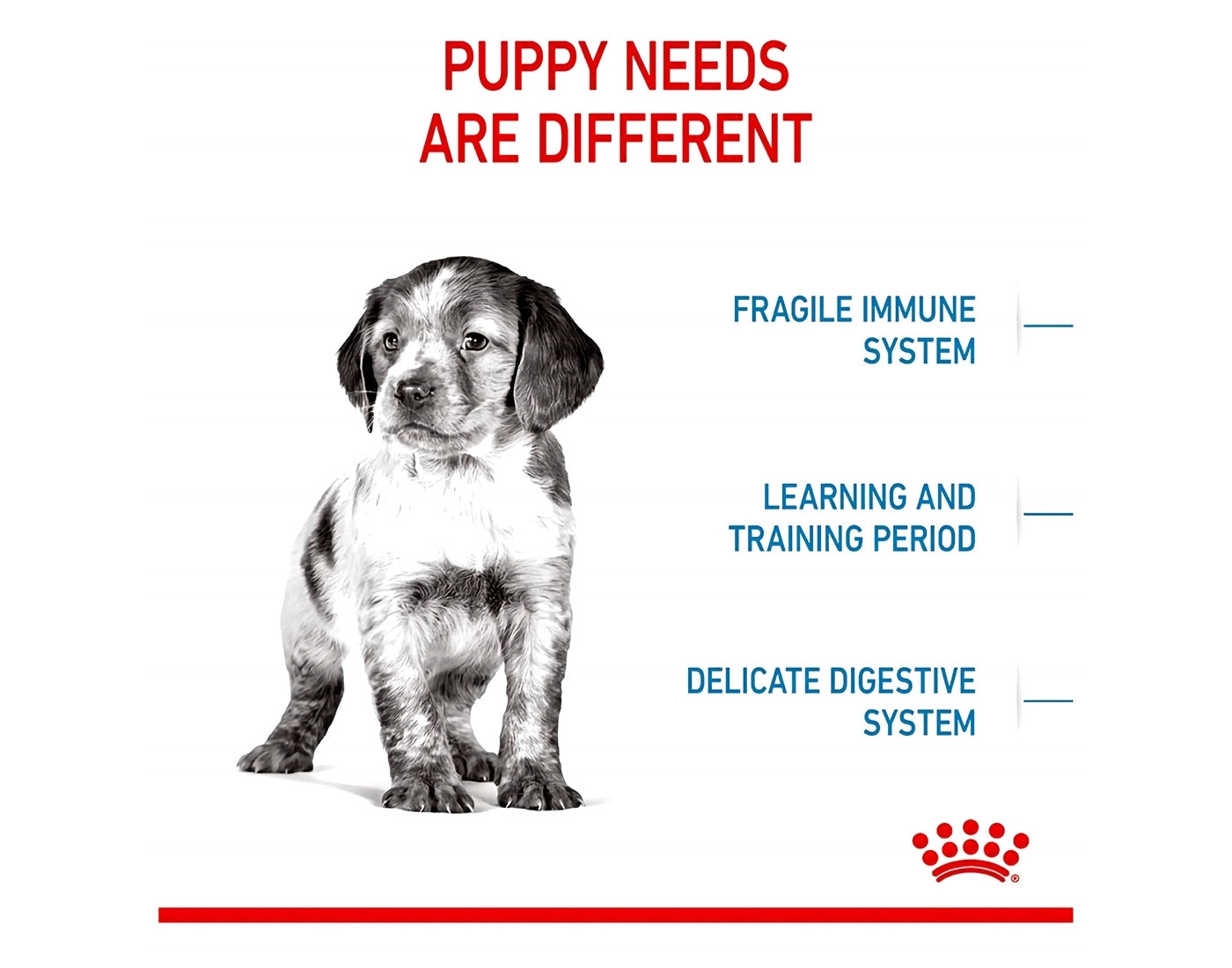 Royal Canin - Medium Puppy 4kg - Buy Online SPR Centre UK