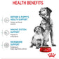 Royal Canin - Medium Starter Mother & Babydog 4kg - Buy Online SPR Centre UK