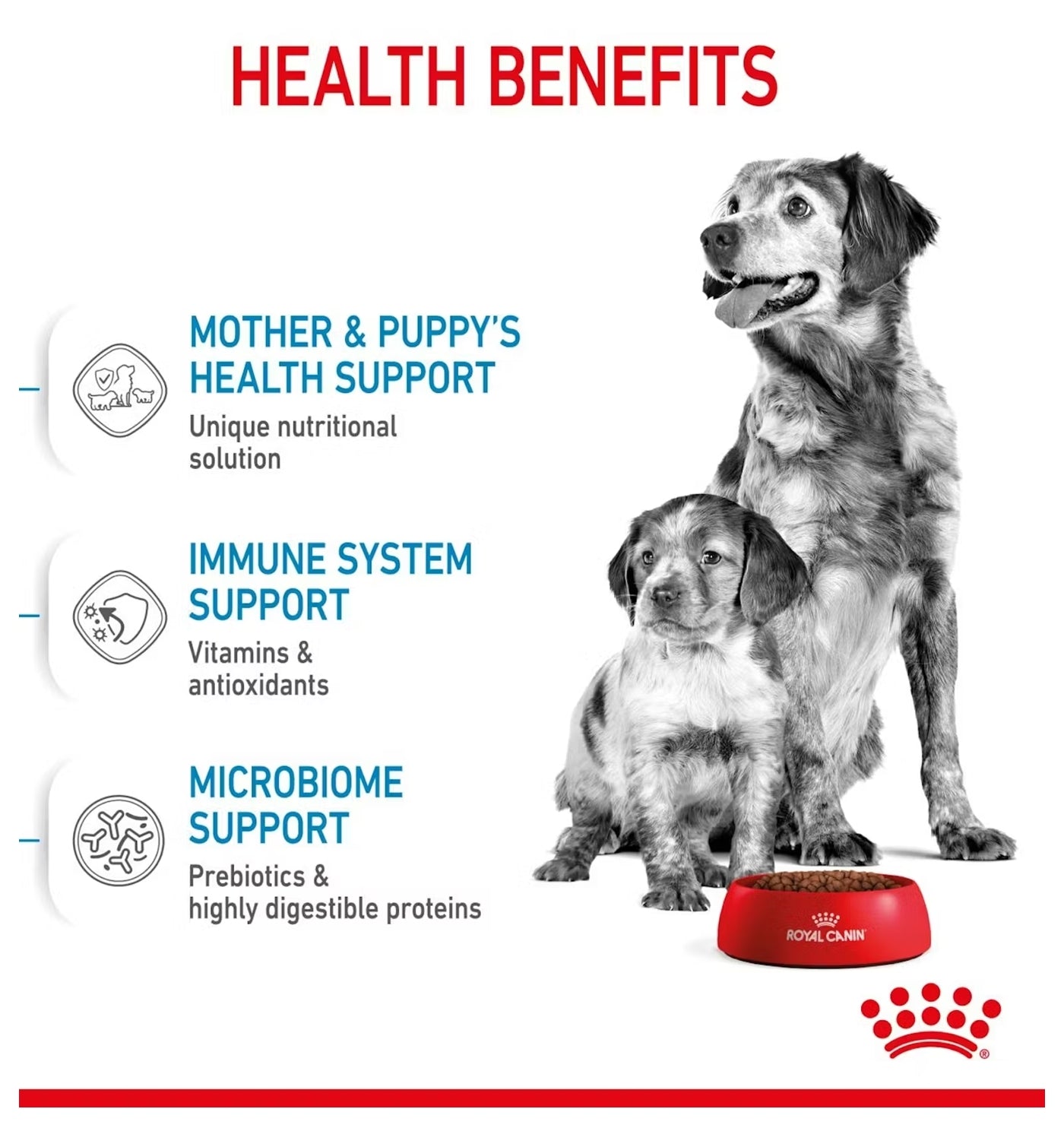 Royal Canin - Medium Starter Mother & Babydog 4kg - Buy Online SPR Centre UK