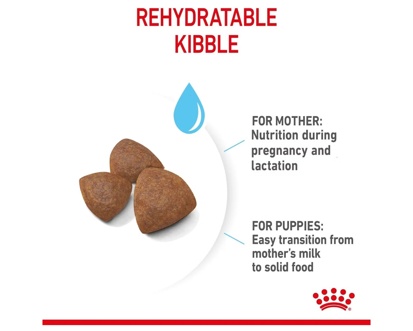 Royal Canin - Medium Starter Mother & Babydog 4kg - Buy Online SPR Centre UK