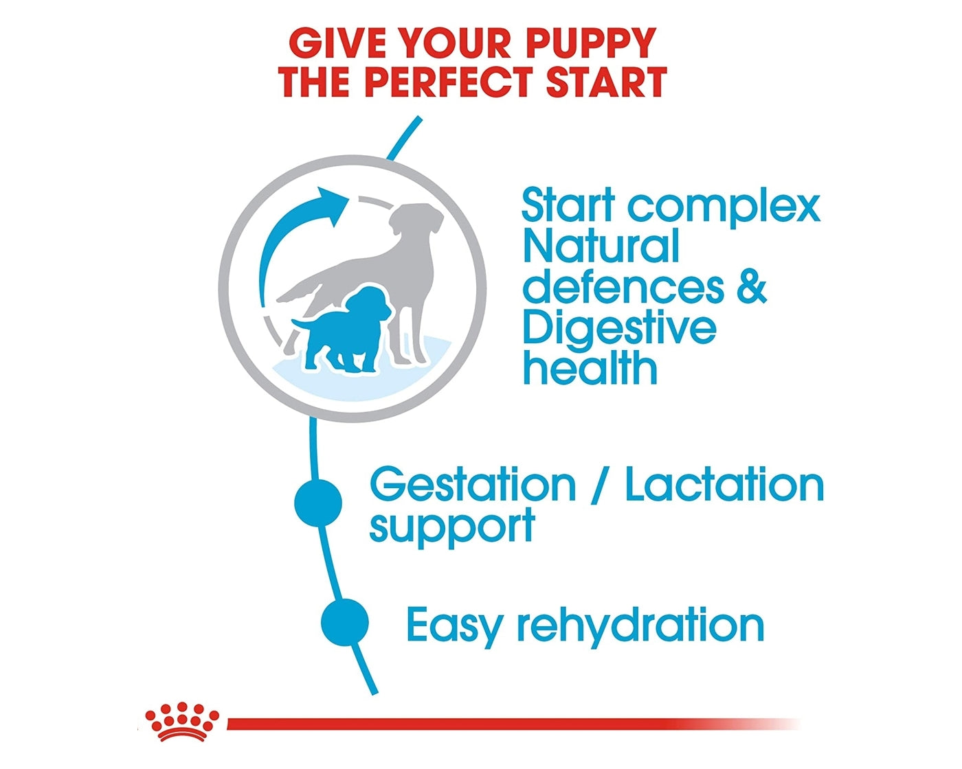 Royal Canin - Medium Starter Mother & Babydog 4kg - Buy Online SPR Centre UK