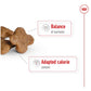 Royal Canin - Mini Adult 8+ | Dog Food - Buy Online SPR Centre UK