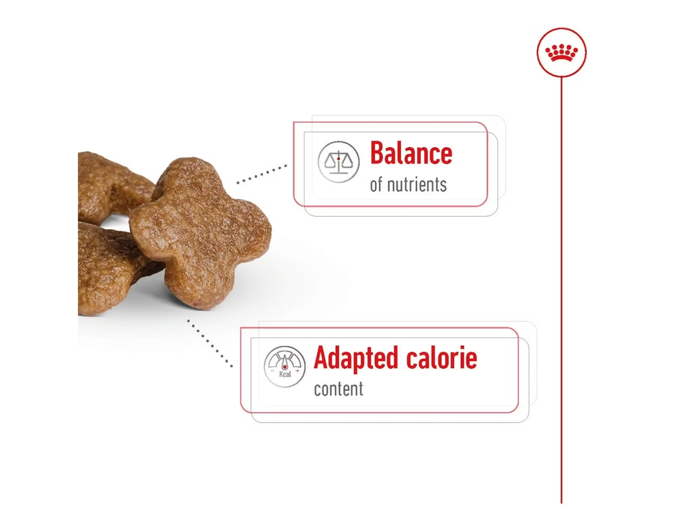 Royal Canin - Mini Adult 8+ | Dog Food - Buy Online SPR Centre UK