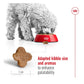 Royal Canin - Mini Adult 8+ | Dog Food - Buy Online SPR Centre UK