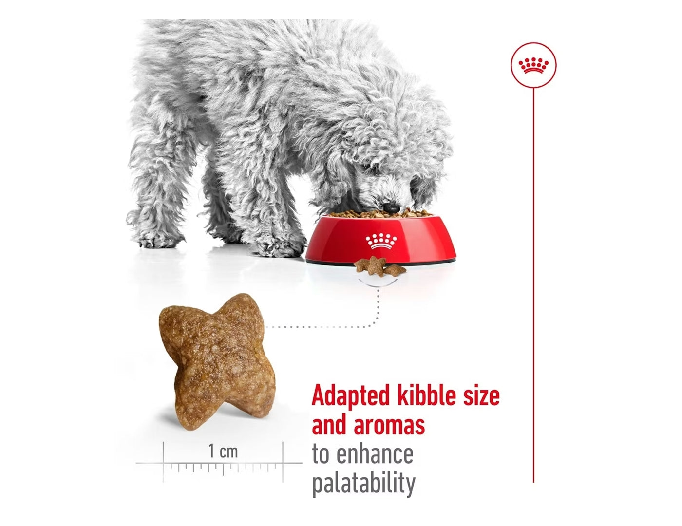 Royal Canin - Mini Adult | Dog Food - Buy Online SPR Centre UK