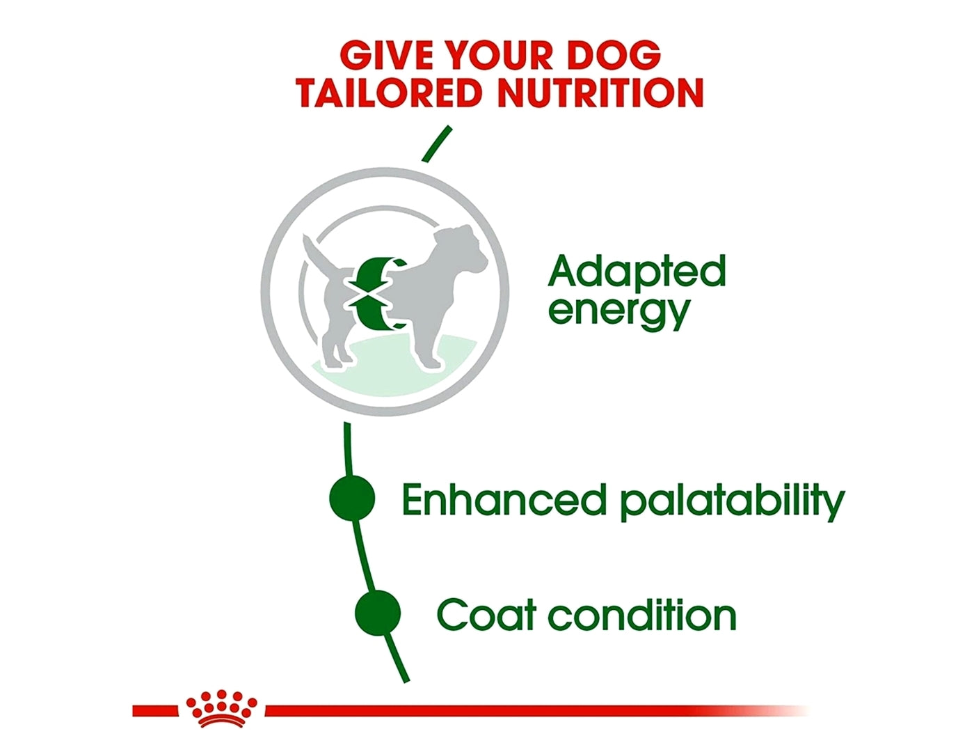 Royal Canin - Mini Adult | Dog Food - Buy Online SPR Centre UK