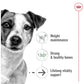 Royal Canin - Mini Ageing 12+ | Dog Food - Buy Online SPR Centre UK