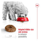 Royal Canin - Mini Ageing 12+ | Dog Food - Buy Online SPR Centre UK