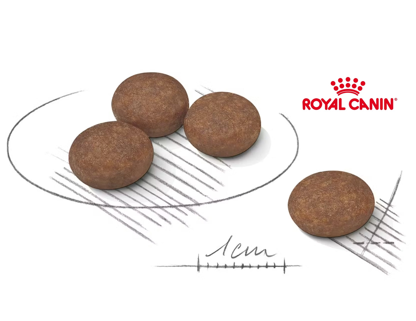 Royal Canin - Mini Digestive Care | Dog Food - Buy Online SPR Centre UK