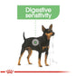 Royal Canin - Mini Digestive Care | Dog Food - Buy Online SPR Centre UK