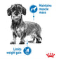Royal Canin - Mini Light Weight Care | Dog Food - Buy Online SPR Centre UK