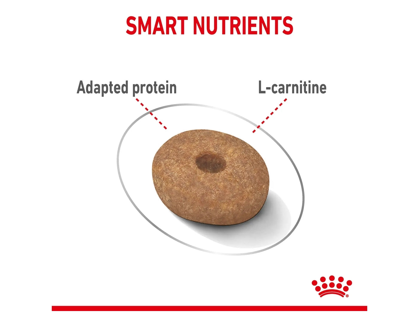 Royal Canin - Mini Light Weight Care | Dog Food - Buy Online SPR Centre UK