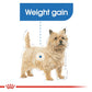 Royal Canin - Mini Light Weight Care | Dog Food - Buy Online SPR Centre UK