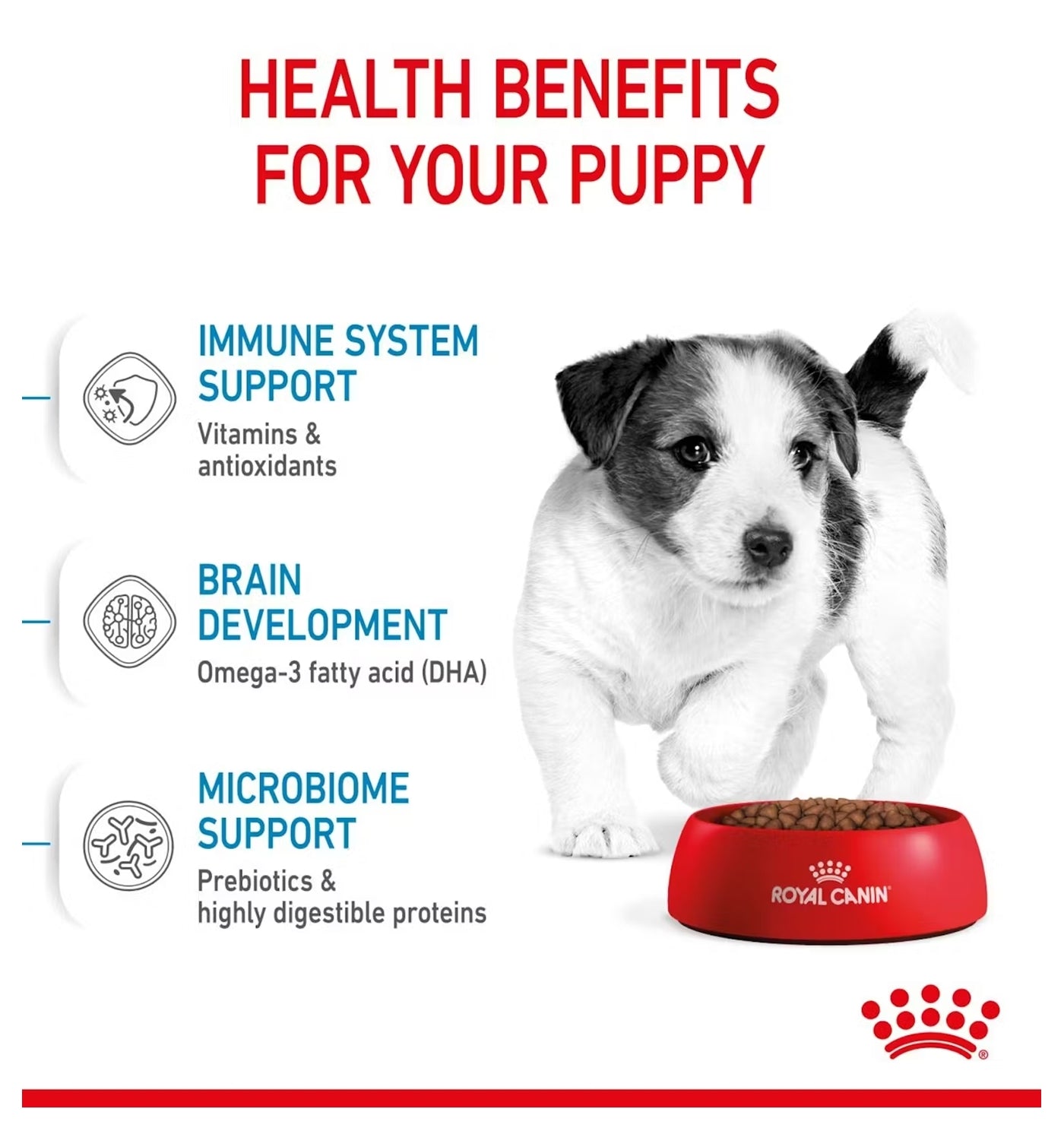 Royal Canin - Mini Puppy | Dog Food - Buy Online SPR Centre UK