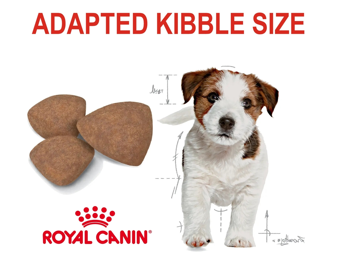 Royal Canin - Mini Puppy | Dog Food - Buy Online SPR Centre UK