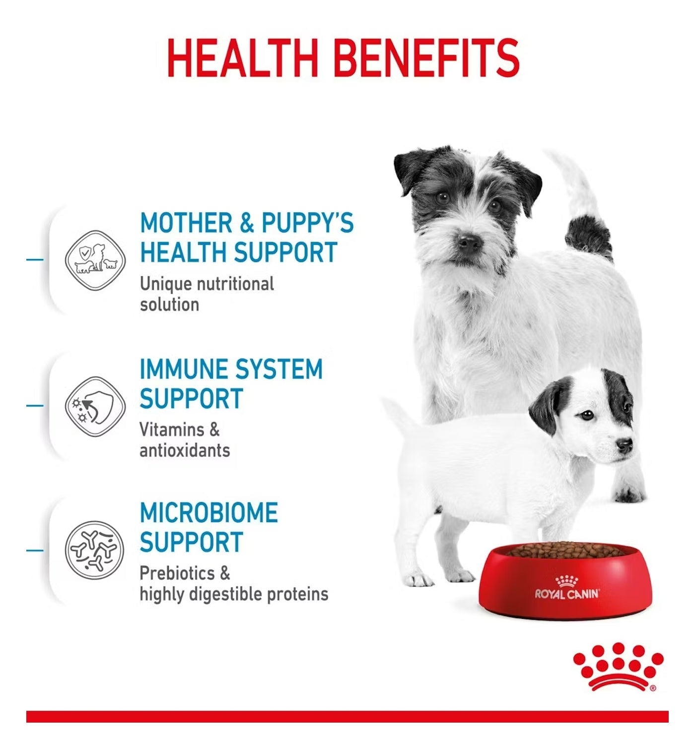 Royal Canin Mini Starter Mother & Babydog 4kg - Buy Online SPR Centre UK