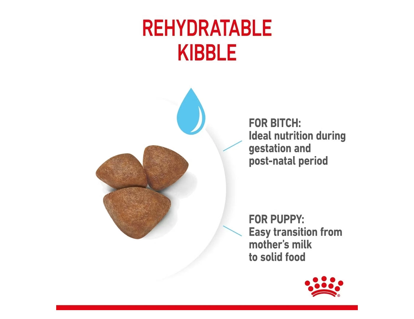 Royal Canin Mini Starter Mother & Babydog 4kg - Buy Online SPR Centre UK