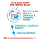 Royal Canin Mini Starter Mother & Babydog 4kg - Buy Online SPR Centre UK