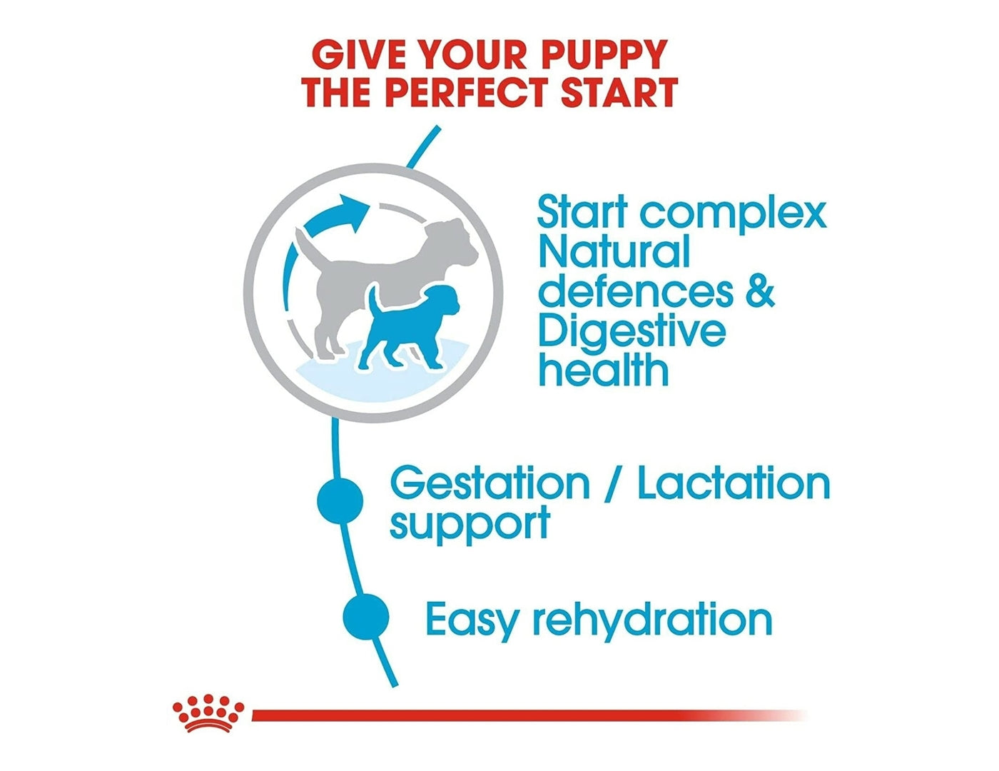 Royal Canin Mini Starter Mother & Babydog 4kg - Buy Online SPR Centre UK