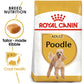 Royal Canin - Poodle Adult 1.5kg - Buy Online SPR Centre UK