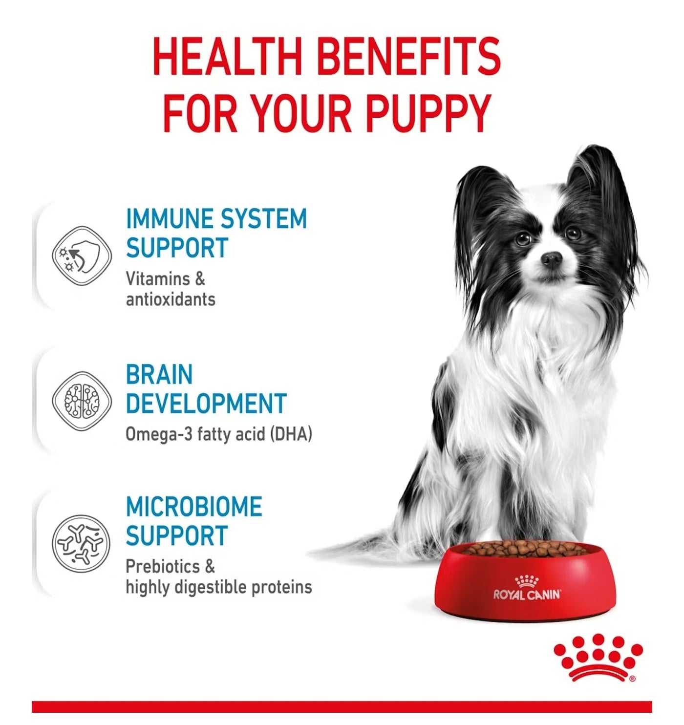 Royal Canin X-Small Puppy Food 1.5kg - Buy Online SPR Centre UK