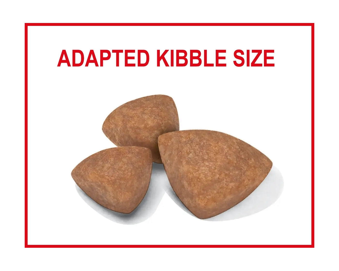 Royal Canin X-Small Puppy Food 1.5kg - Buy Online SPR Centre UK