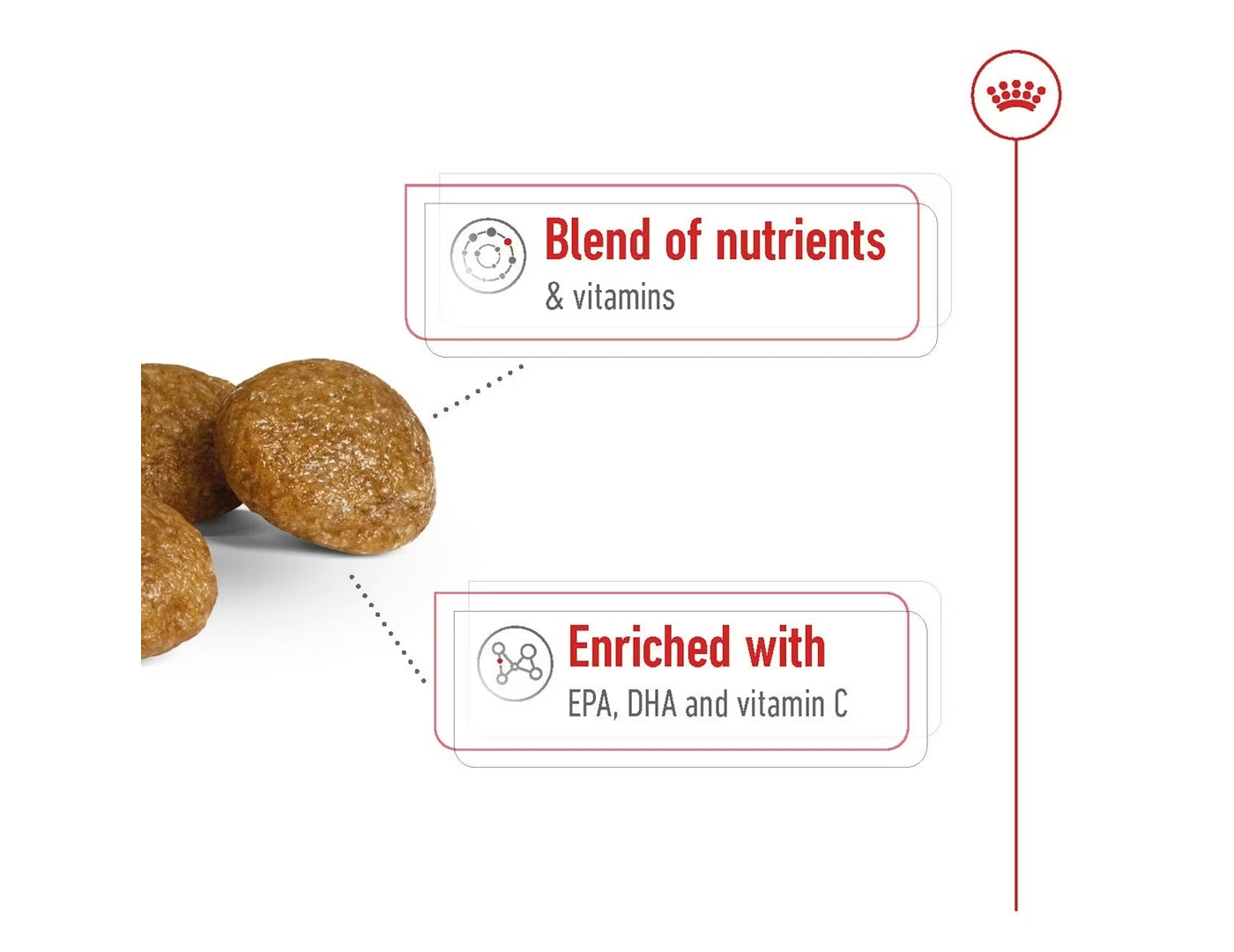 Royal Canin - X-Small Adult 8+ Dog Food - Buy Online SPR Centre UK