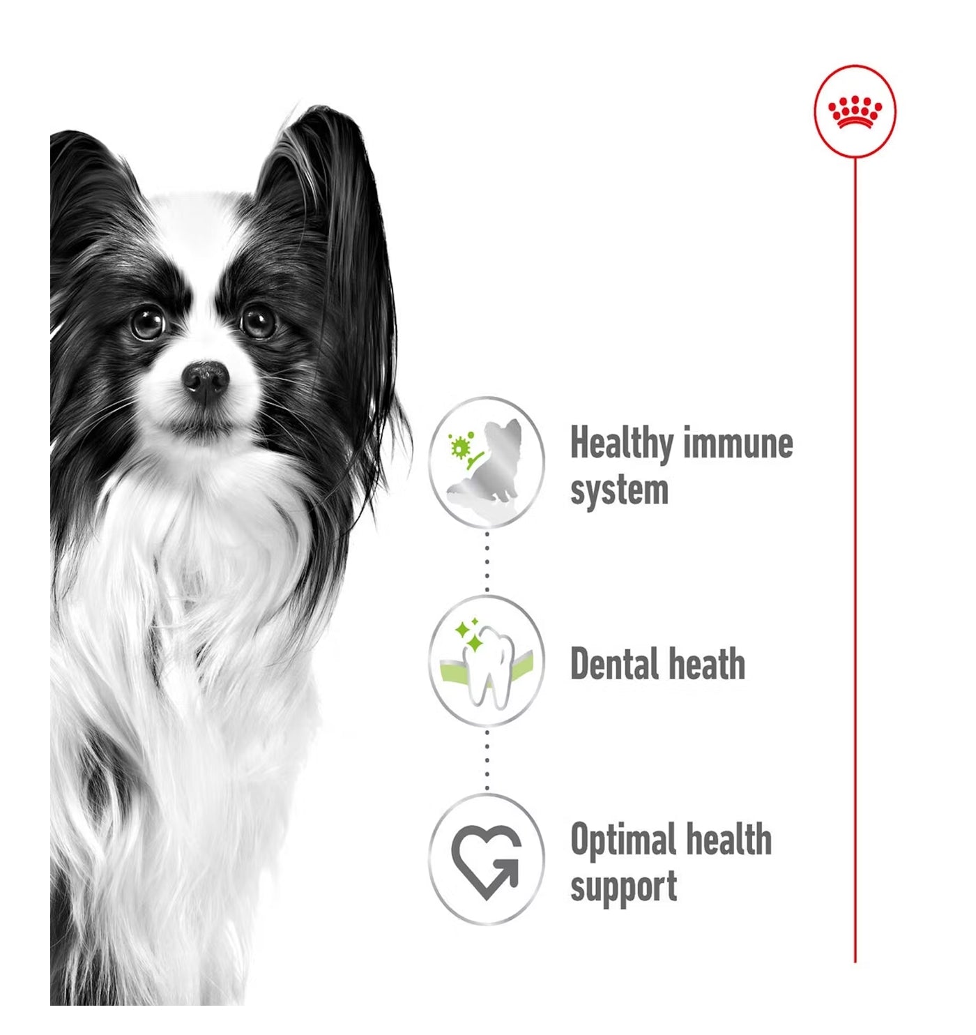 Royal Canin - X-Small Adult Dog Food - Buy Online SPR Centre UK