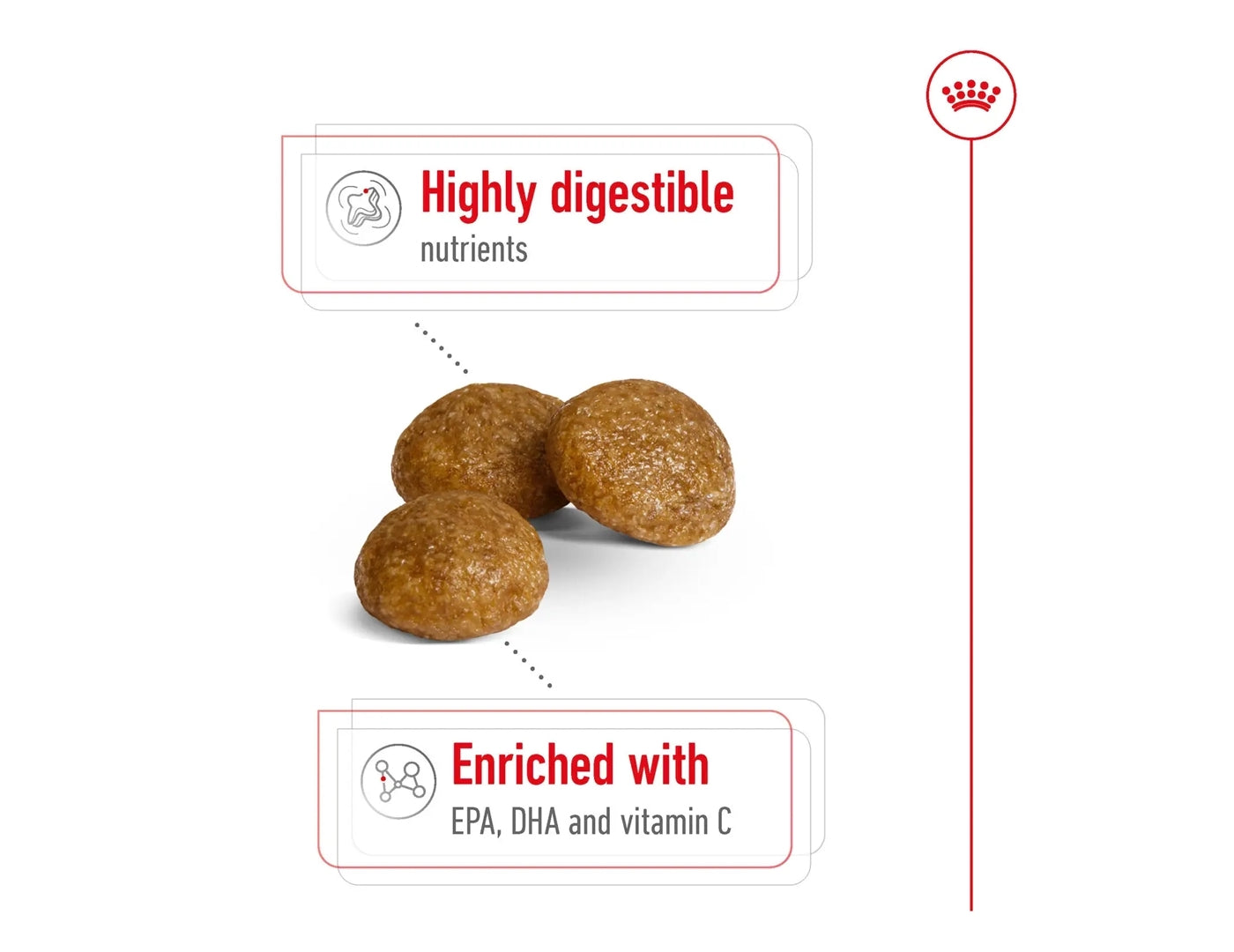 Royal Canin - X-Small Adult Dog Food - Buy Online SPR Centre UK