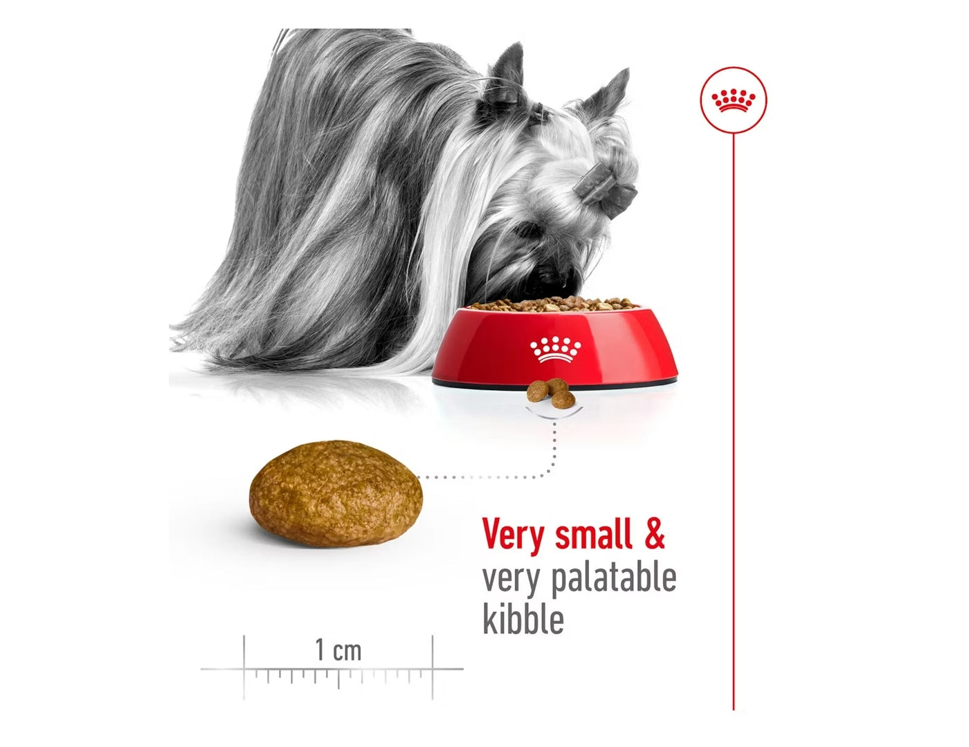 Royal Canin - X-Small Adult Dog Food - Buy Online SPR Centre UK