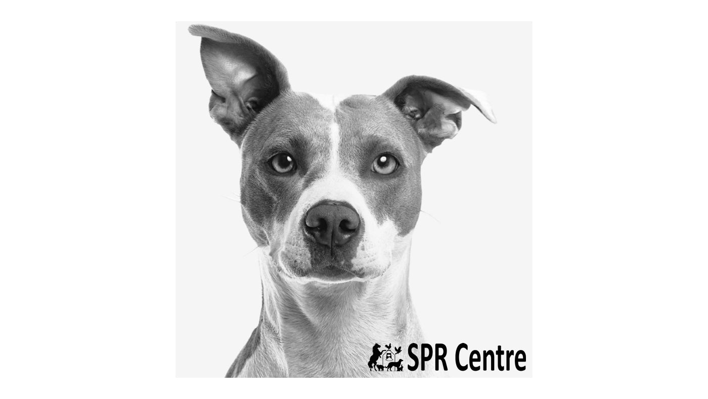 SPR - Gluten Free Light & Mature Dog Food - Buy Online SPR Centre UK