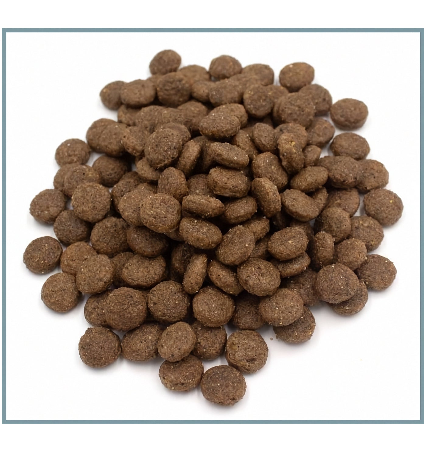 SPR - Gluten Free Salmon & Rice Dog Food - Buy Online SPR Centre UK