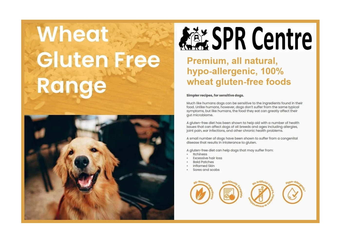 SPR - Gluten Free Lamb & Rice Dog Food - Buy Online SPR Centre UK
