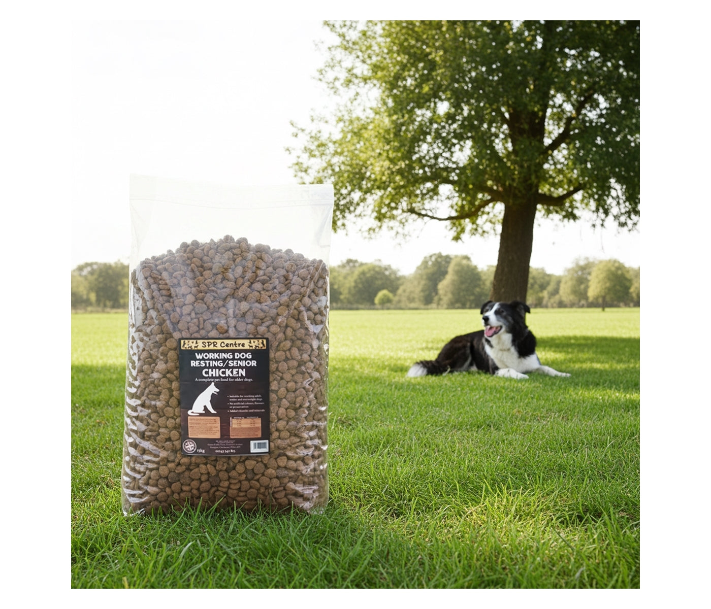 SPR - Resting/Senior Working Dog Food 15kg - Buy Online SPR Centre UK