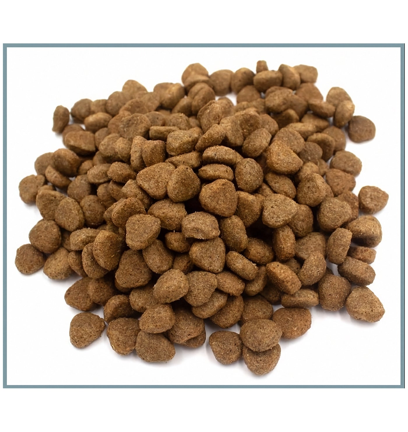 SPR - Gluten Free Turkey & Rice Dog Food - Buy Online SPR Centre UK