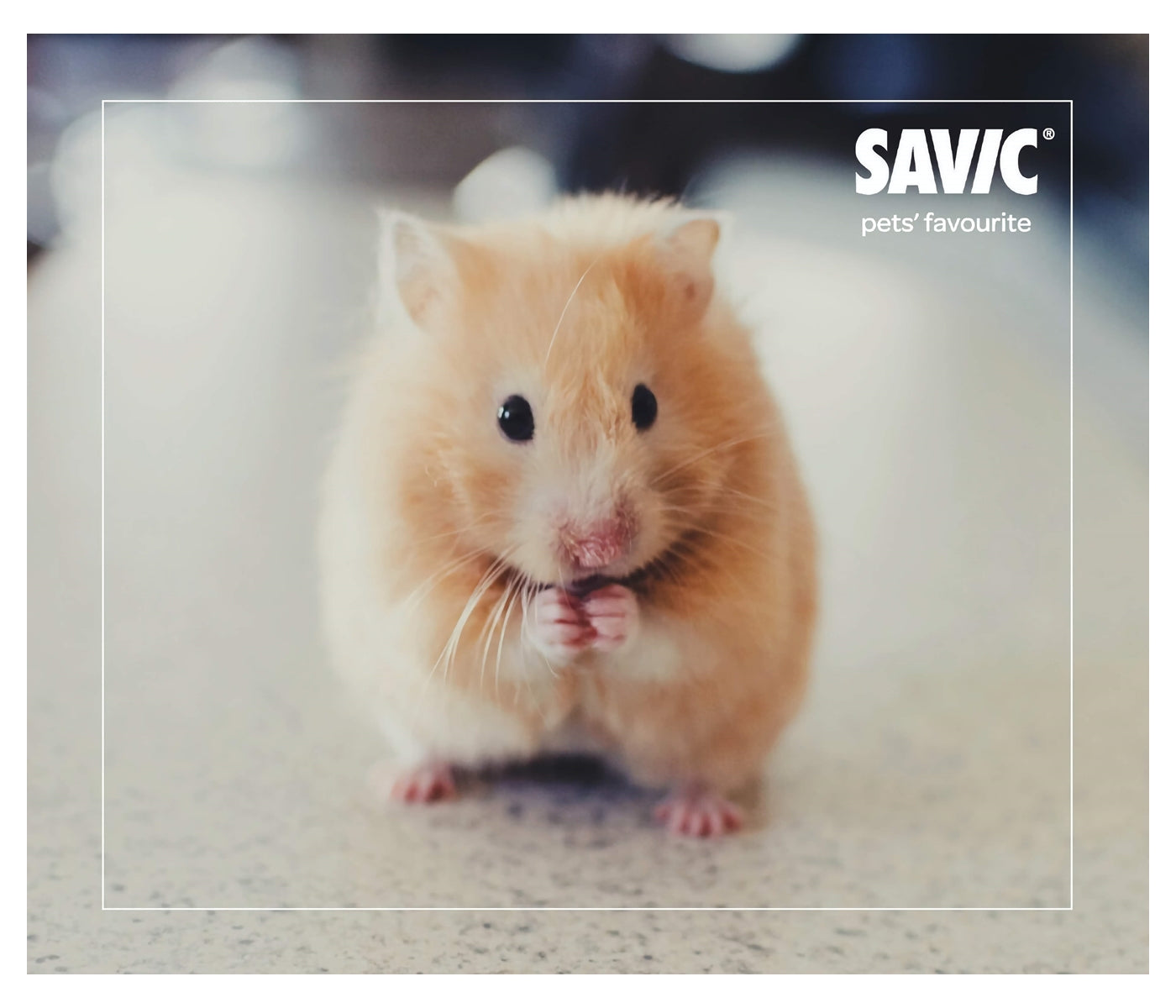 Savic - Hamster | Small Animal Toilet - Buy Online SPR Centre UK