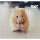 Savic - Litter Refill for Hamster Toilet - Buy Online SPR Centre UK