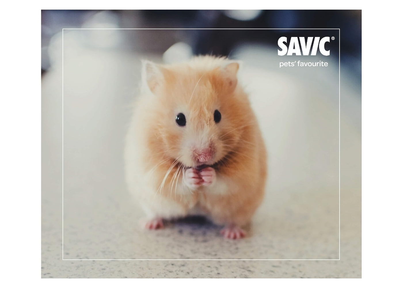 Savic - Litter Refill for Hamster Toilet - Buy Online SPR Centre UK