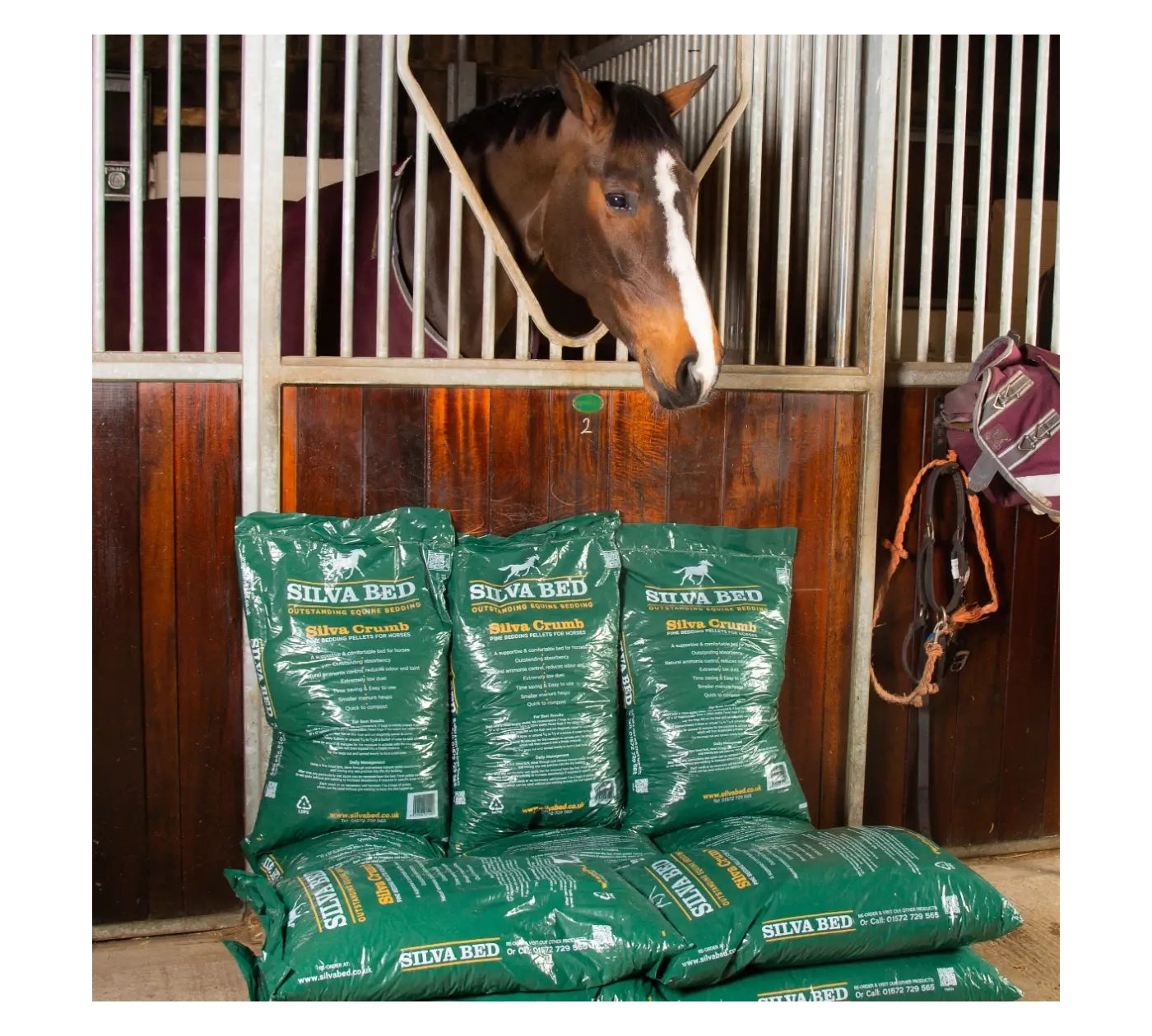 Horse pellet bedding high quality for guinea pigs