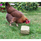 Silvermoor - Alfa Grit Block for Chickens - 1kg