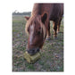 Silvermoor Grassabix Magical Minty Unicorn | Horse Feed - Buy Online SPR Centre UK