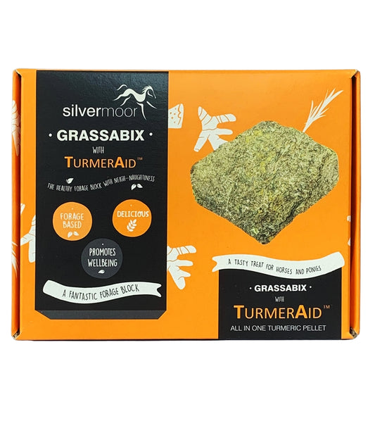 Silvermoor - Grassabix with TurmerAid 1kg | Forage Block for Horses - Buy Online SPR Centre UK