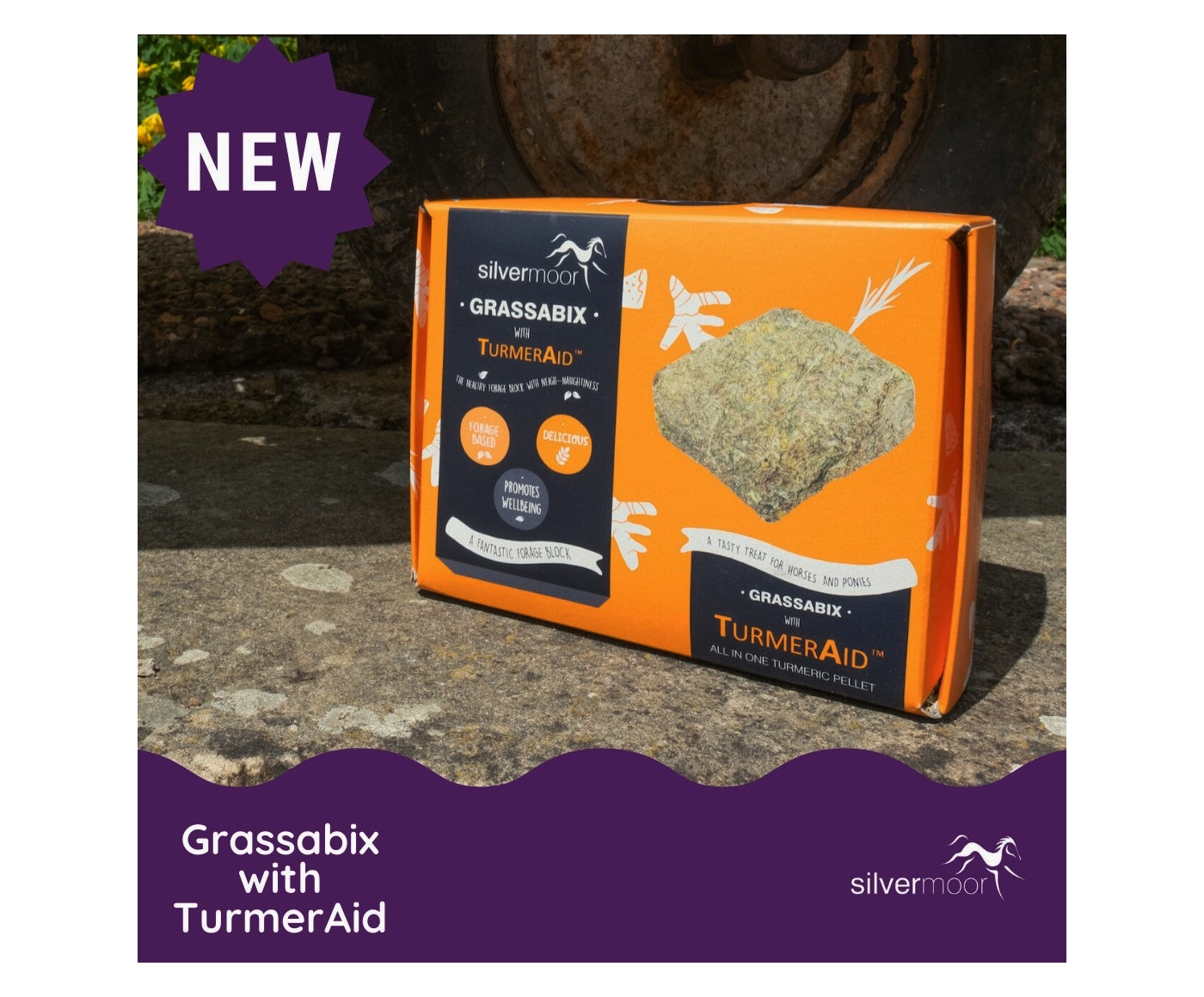Silvermoor Grassabix with TurmerAid | Horse Feed - Buy Online SPR Centre UK