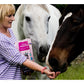 Silvermoor Unicorn Treatsies - Minty Flavour Horse Treats - Buy Online SPR Centre UK