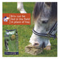 Simple System MeadowBrix | Horse Feed - Buy Online SPR Centre UK