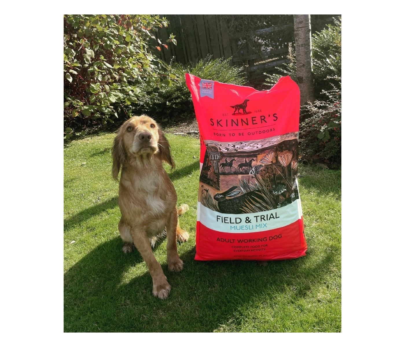 Skinner's - Field & Trial Muesli Mix 15kg - *VAT Free* - Buy Online SPR Centre UK