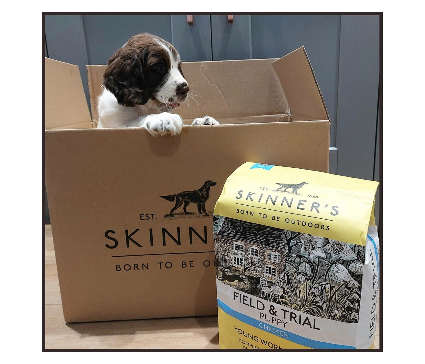 Skinner's - Field & Trial Puppy Chicken - *VAT Free* - Buy Online SPR Centre UK